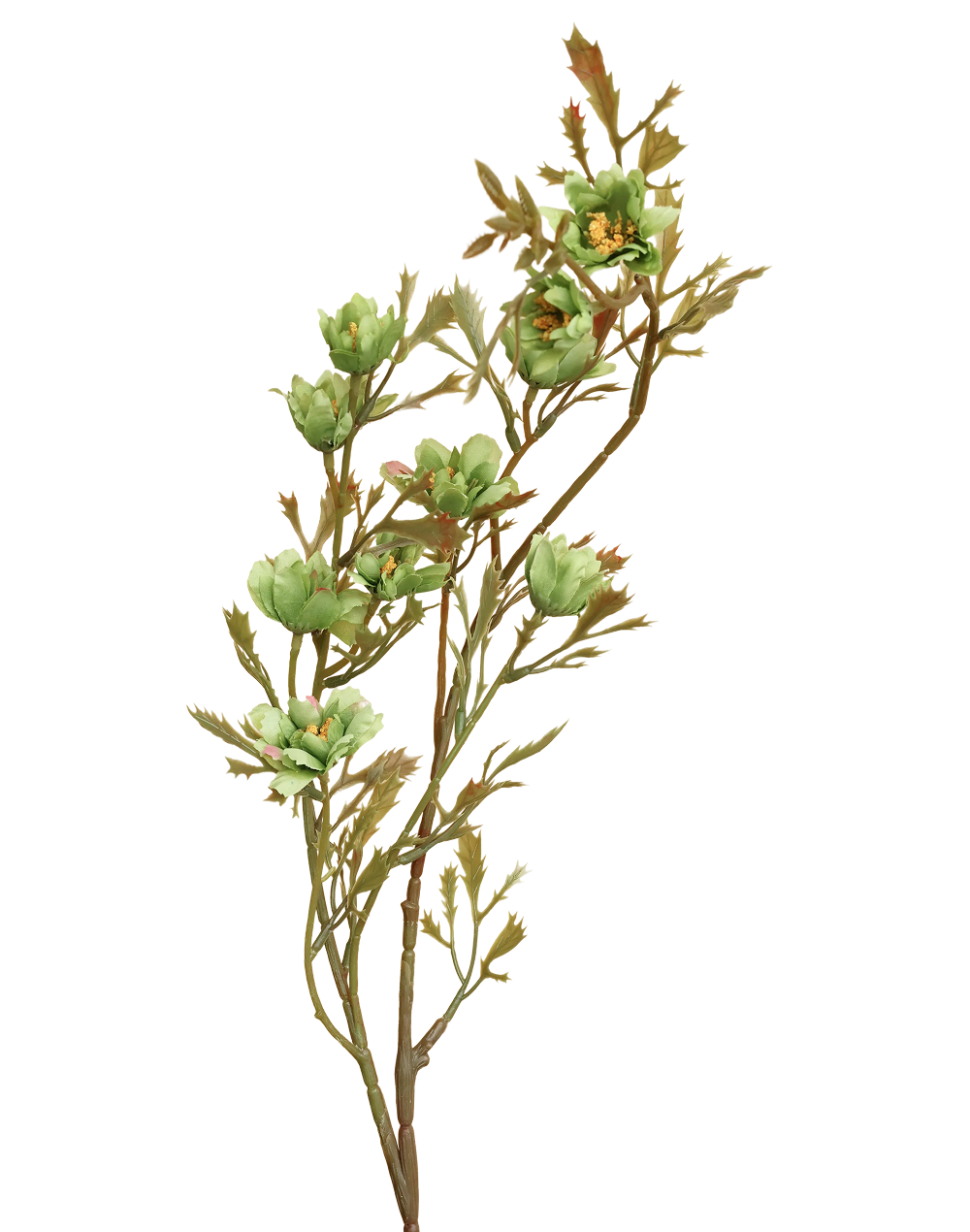 Wild Flowering Branch | Available in 3 Colors