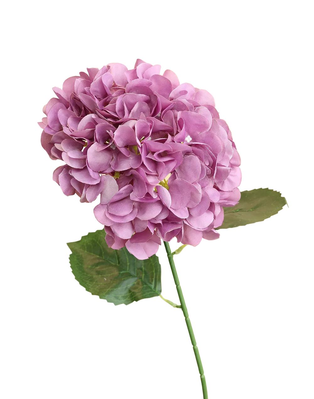 Silk Hydrangea Stem | Available in 2 Colors