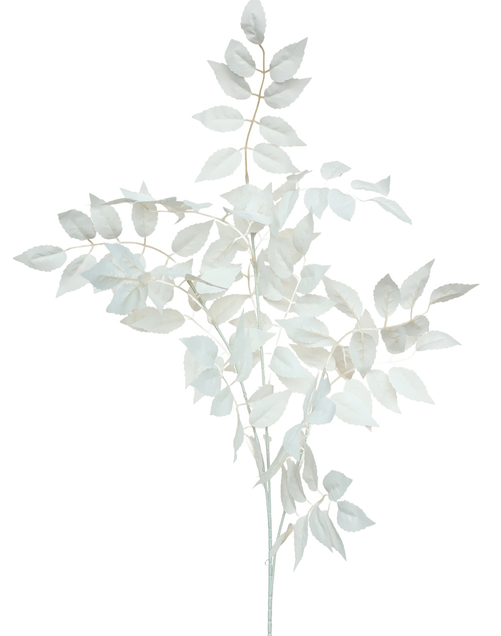 White Leave Branch-37"