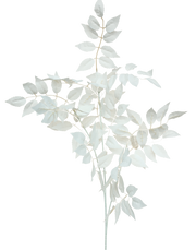 White Leave Branch-37"