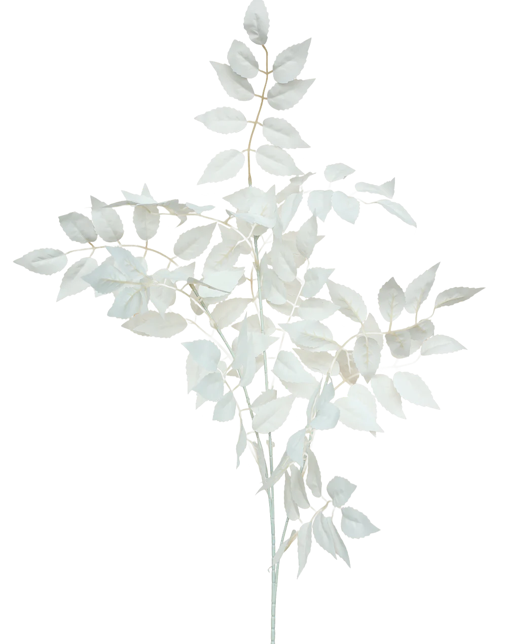 White Leave Branch-37"
