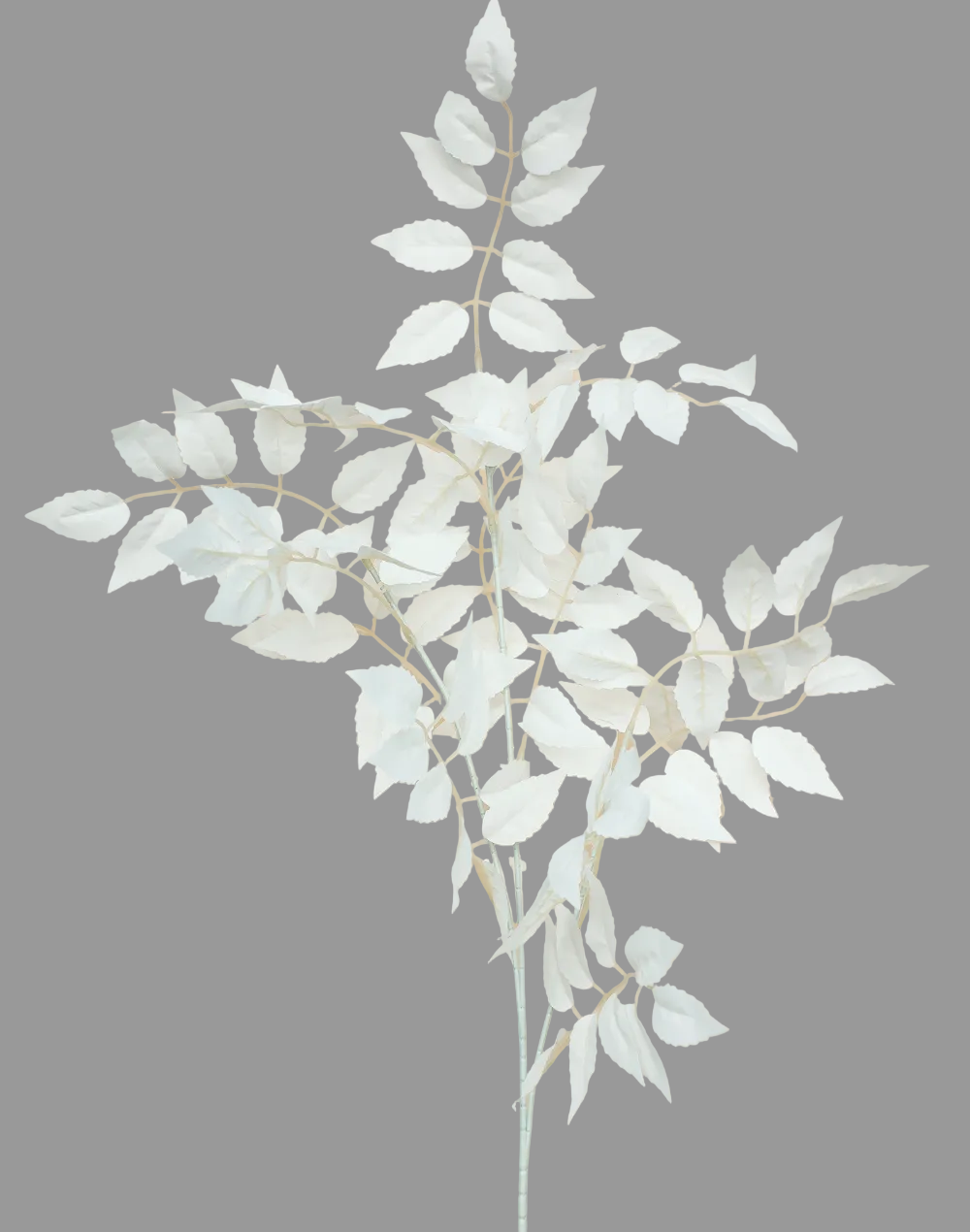 White Leave Branch-37"