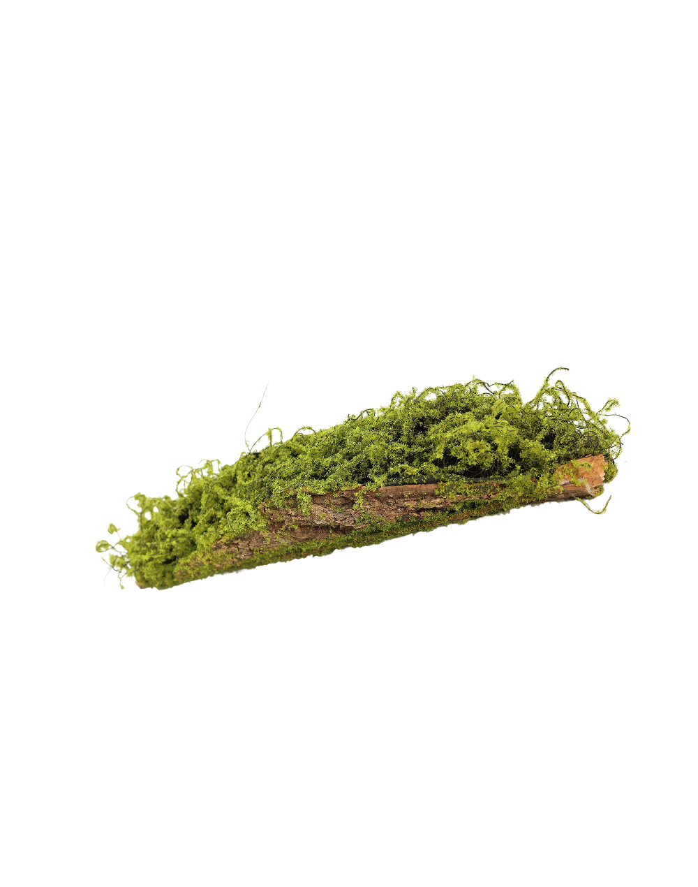 Moss Bark Logs | Available in 3 Sizes