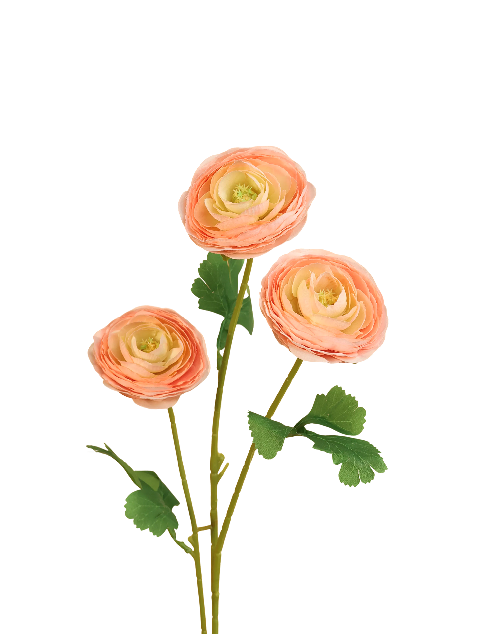 Ranunculus 3-Head Spray | Available in 6 Colors