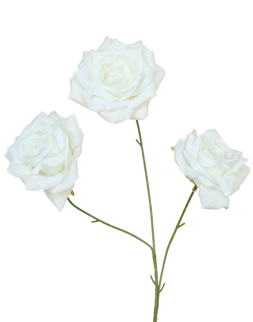 Printing Tea Rose 3-Head Spray | Available in 3 Colors