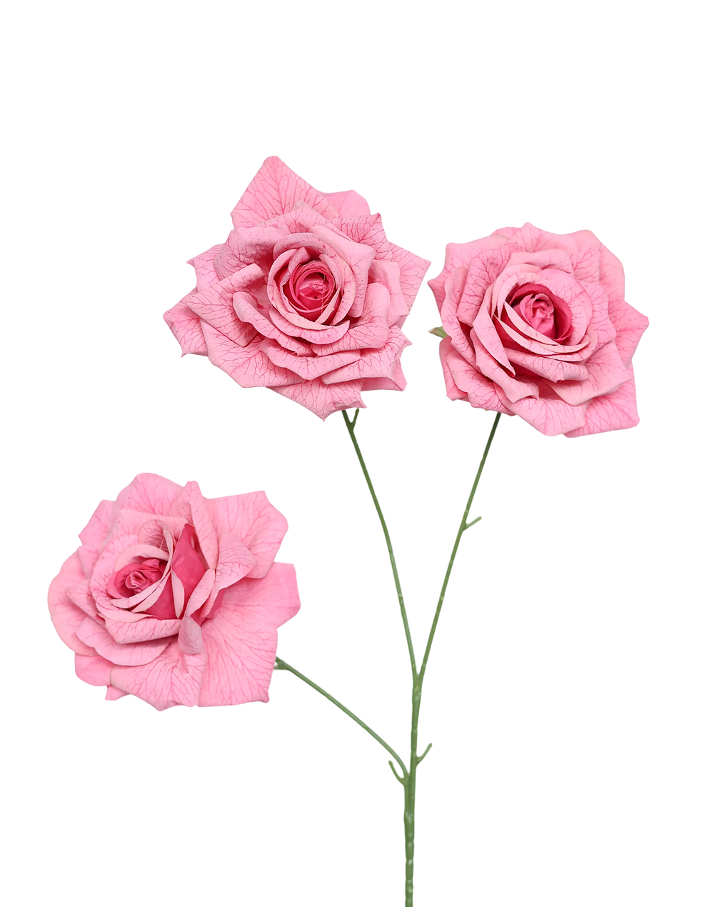 Printing Tea Rose 3-Head Spray | Available in 3 Colors