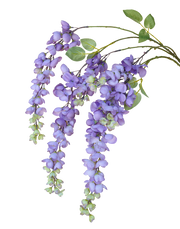 Purple Wisteria Spray