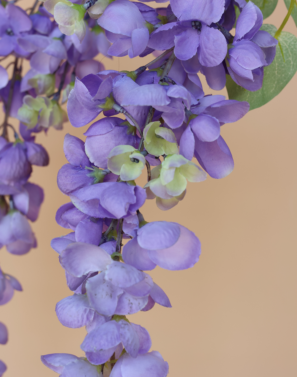Purple Wisteria Spray