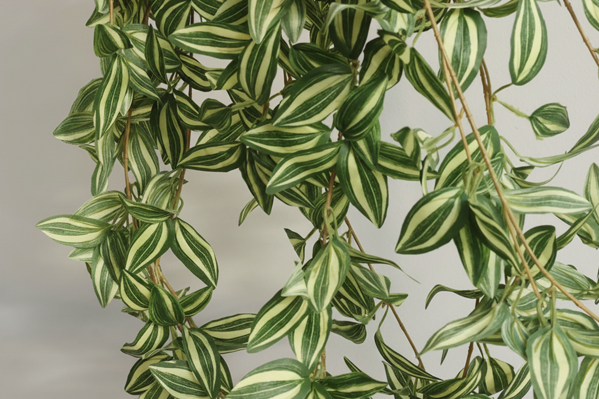 Artificial Greenery