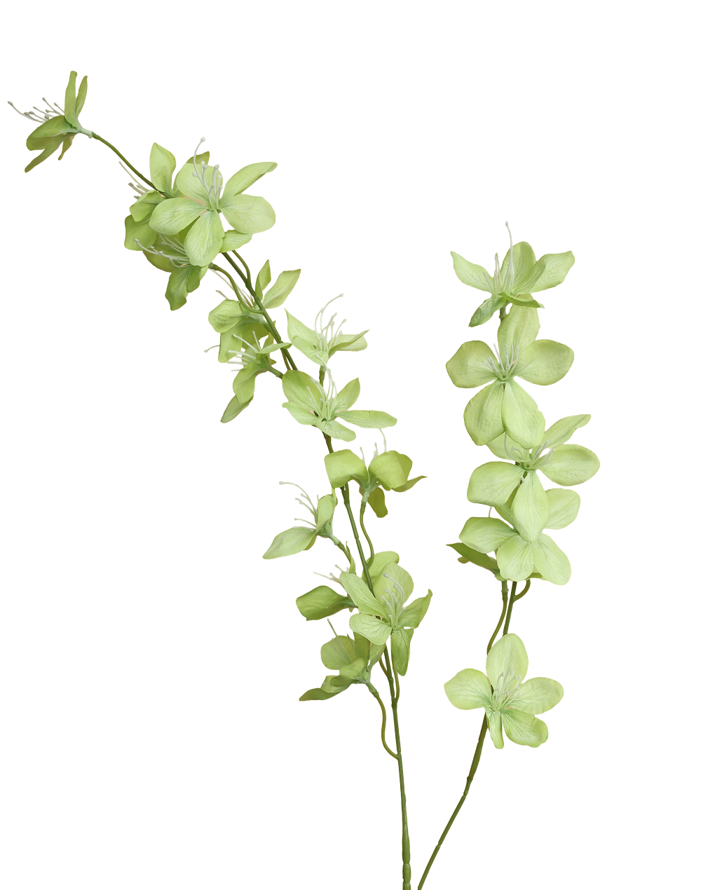 Silk Clematis Spray | Available in 3 Colors