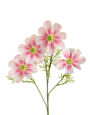 Freckled Pink Jumbo Cosmos Spray