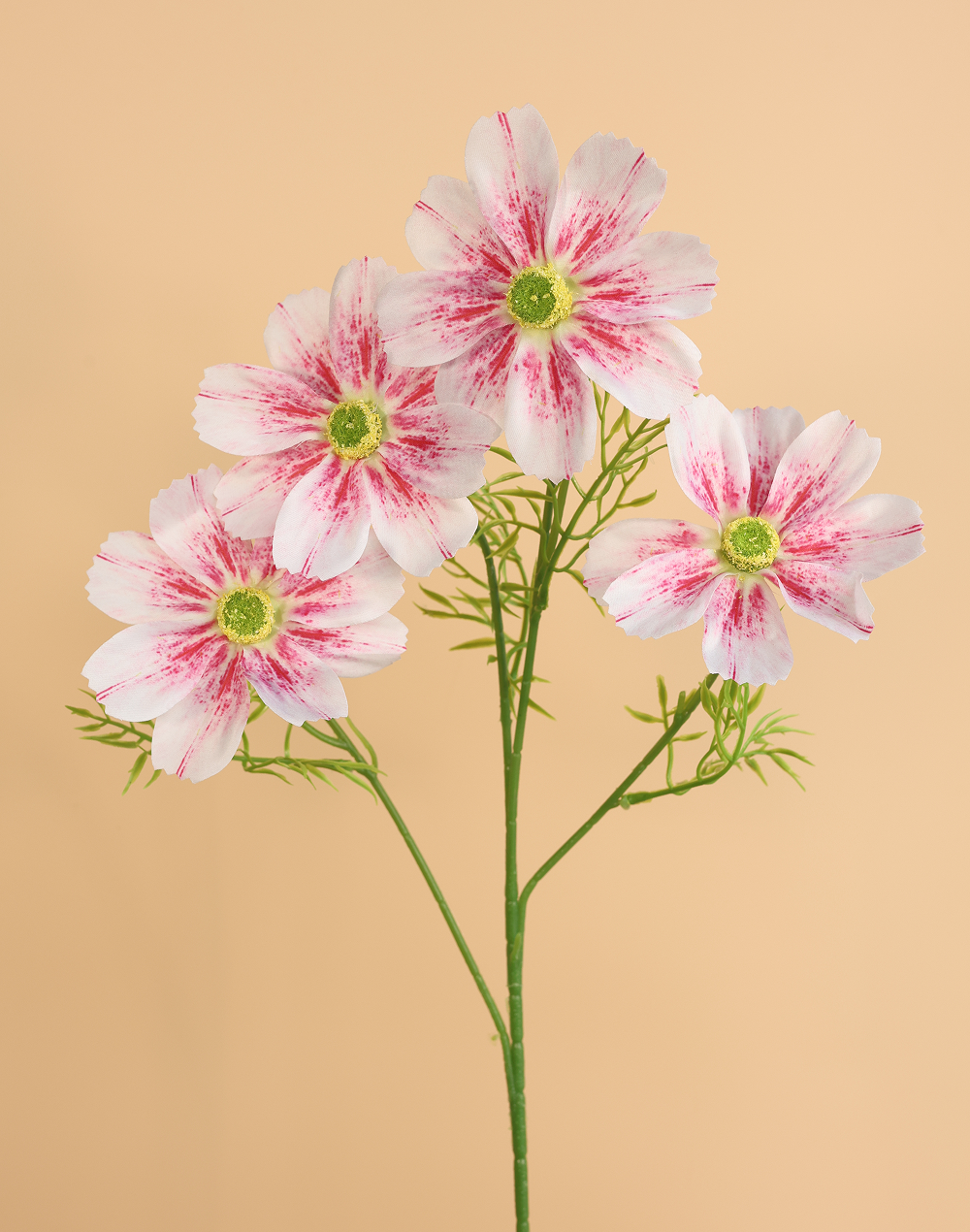 Freckled Pink Jumbo Cosmos Spray