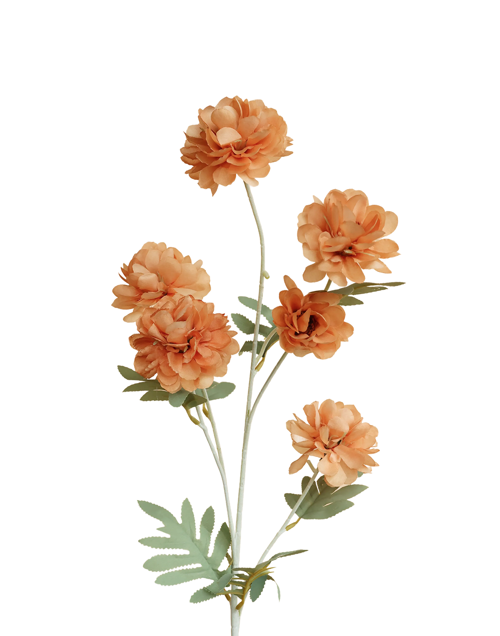 Dahlia | Available in 2 Styles