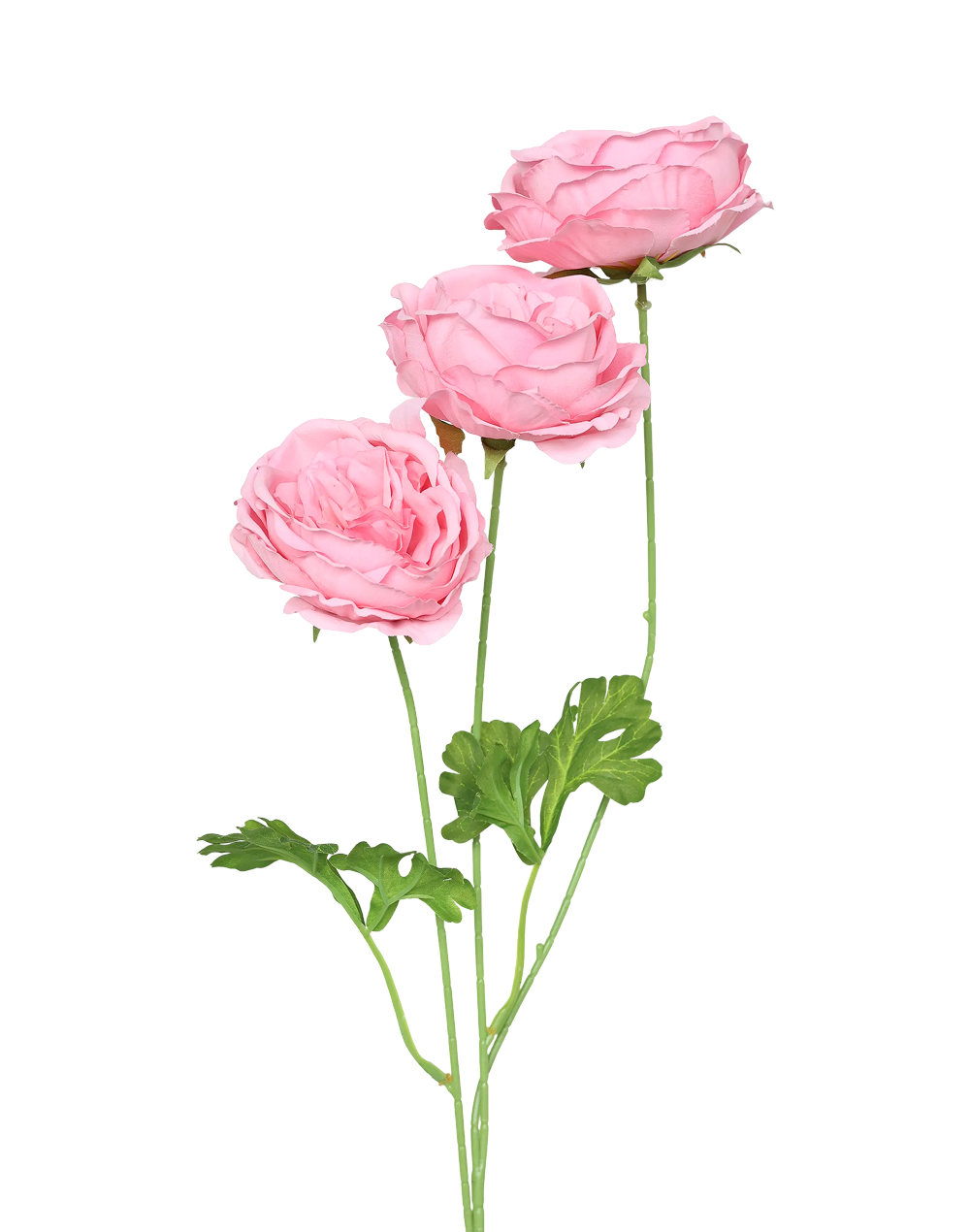 Garden Rose Spray | Available in 3 Colors