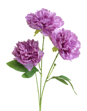 Peony Spray | Available in 2 Colors