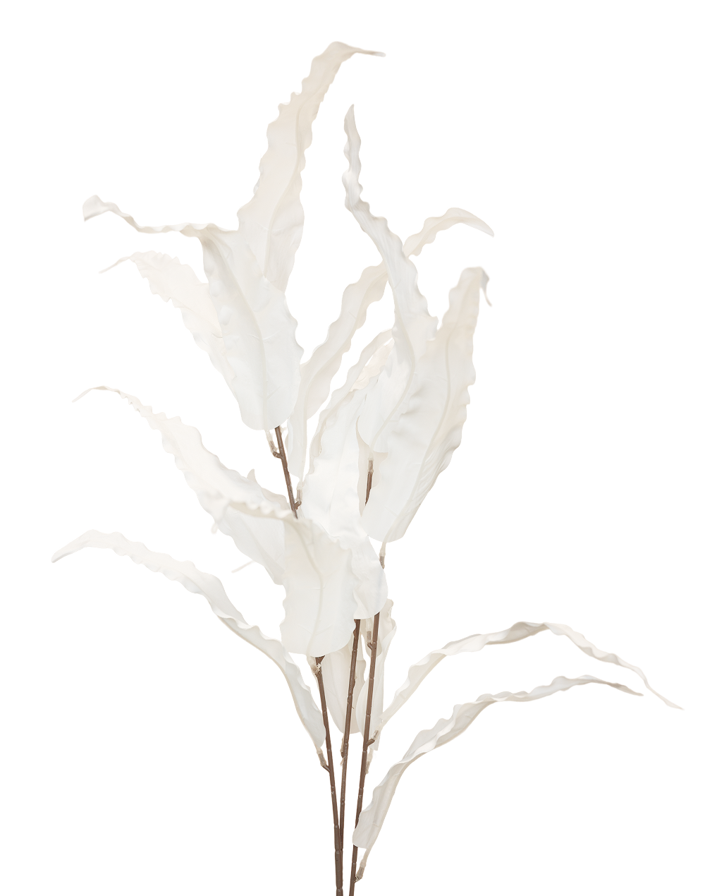 White Decorative Leaves
