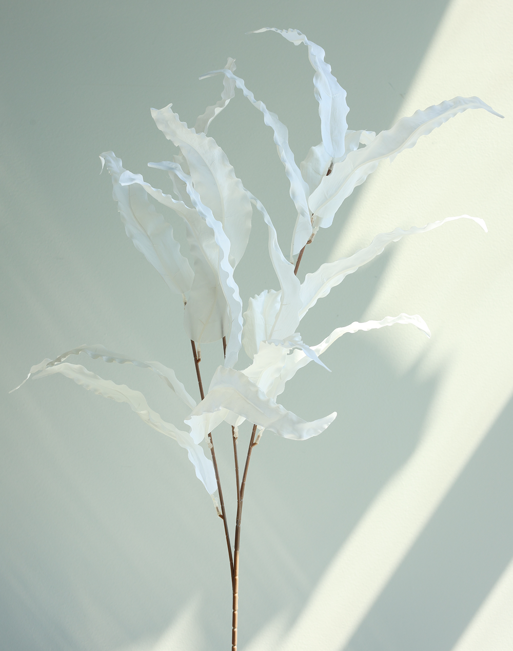 White Decorative Leaves