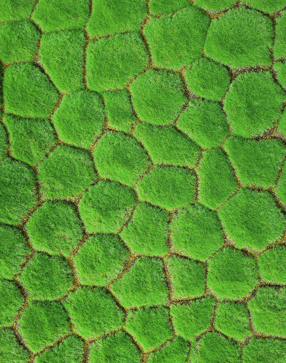 Pebble Moss Sheet
