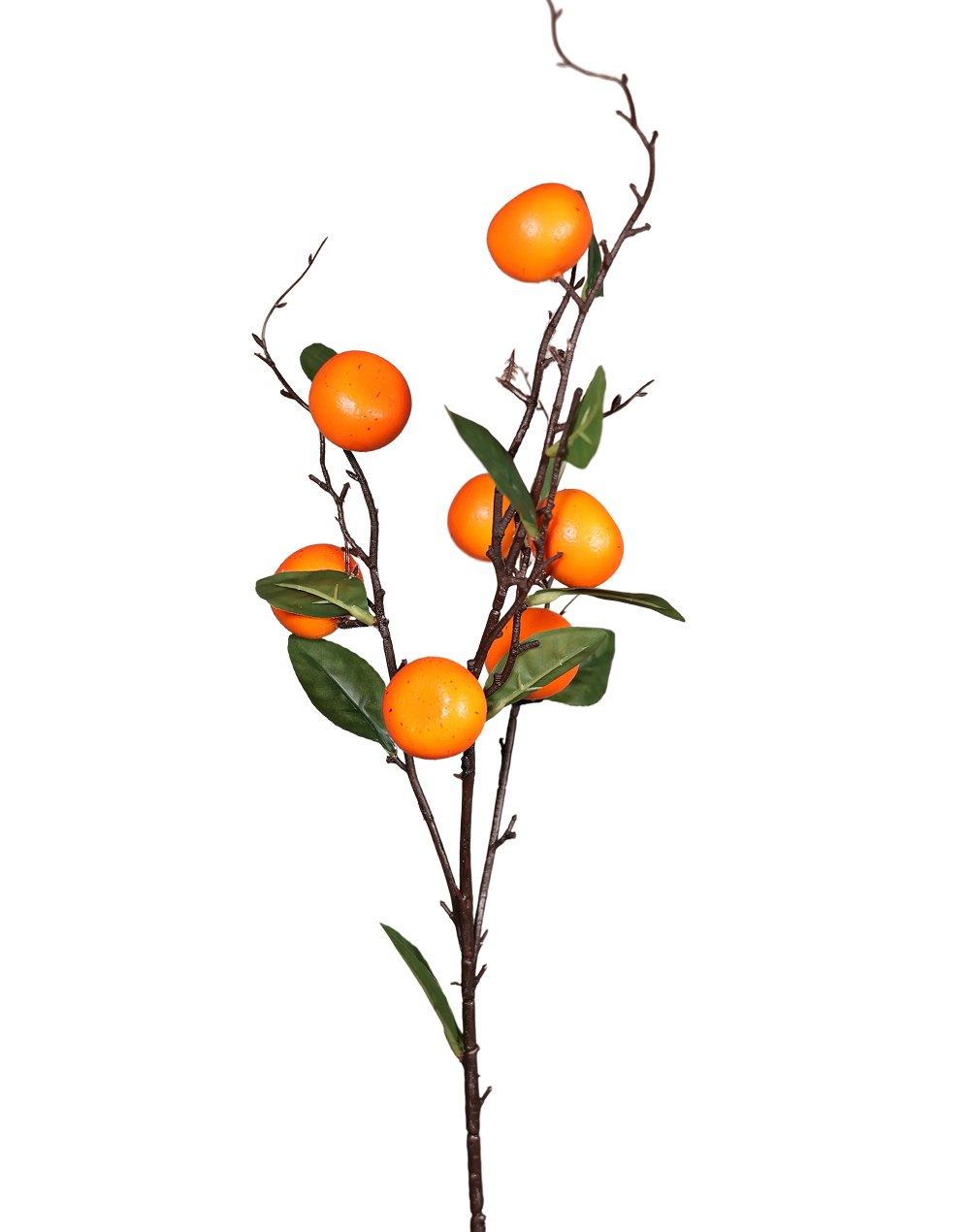 tangerine Branch