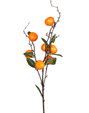 tangerine Branch