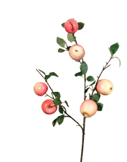 Small Gala Apple Branch-32"