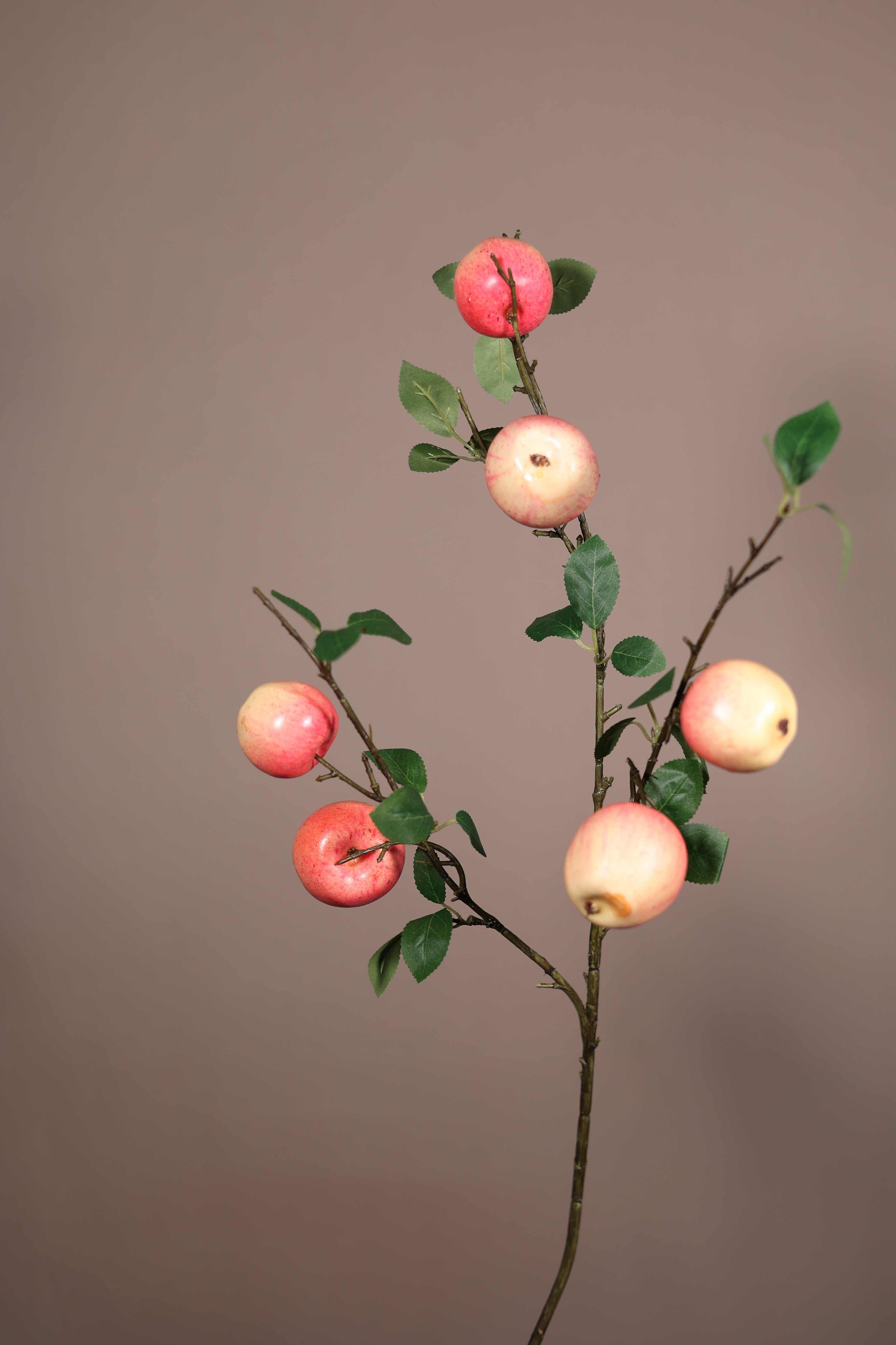 Small Gala Apple Branch-32"