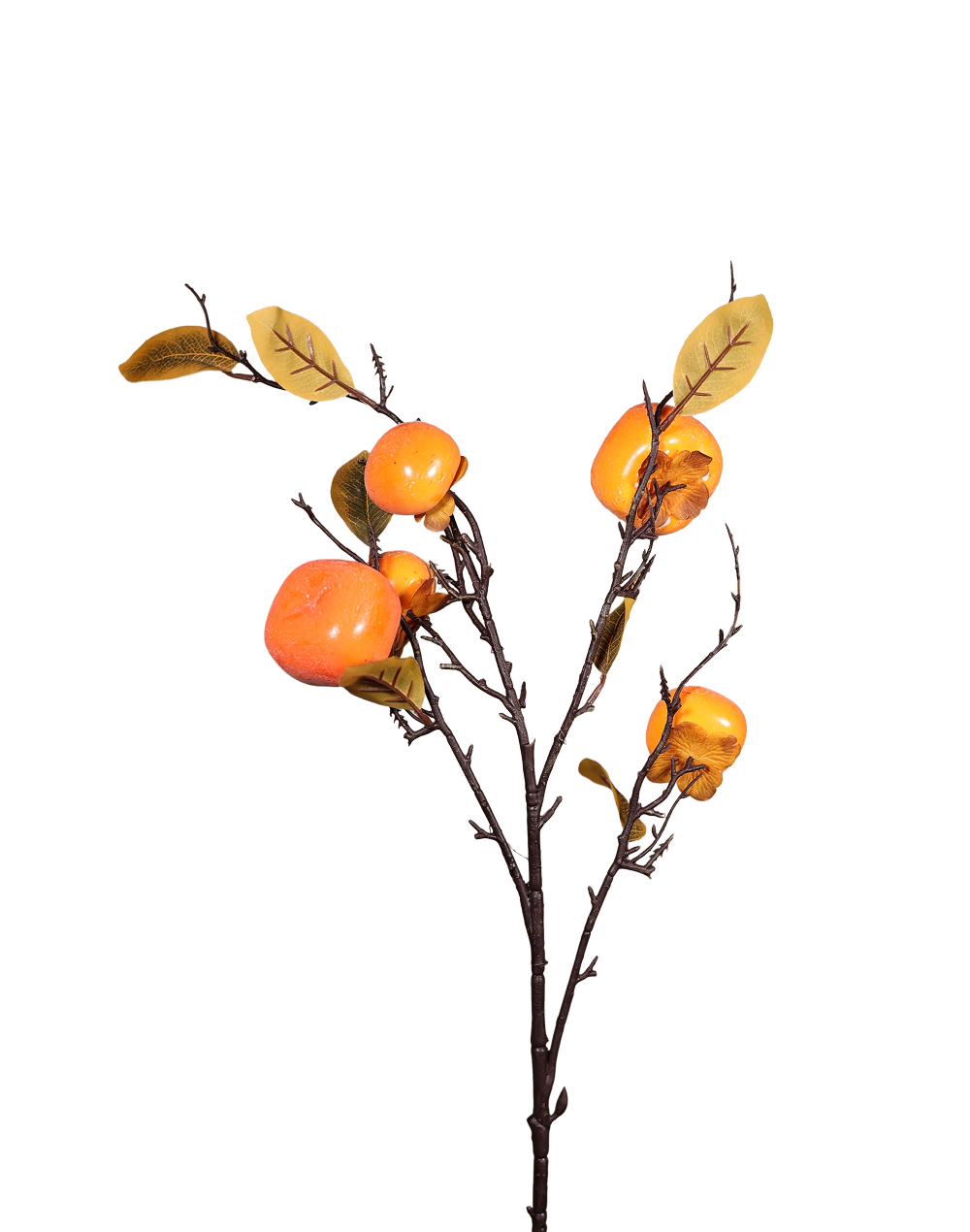 Persimon Branch-32"