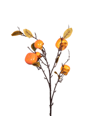 Persimon Branch-32"