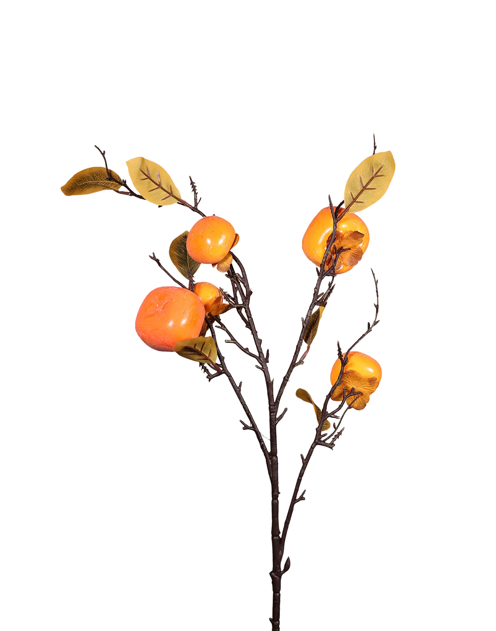 Persimon Branch-32"