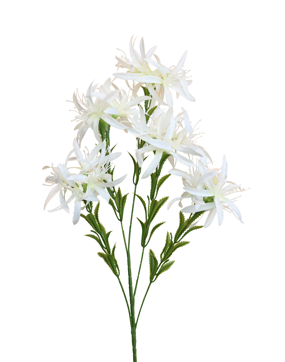 Silk Spider Chrysanthemum Spray | Available in 3 Colors