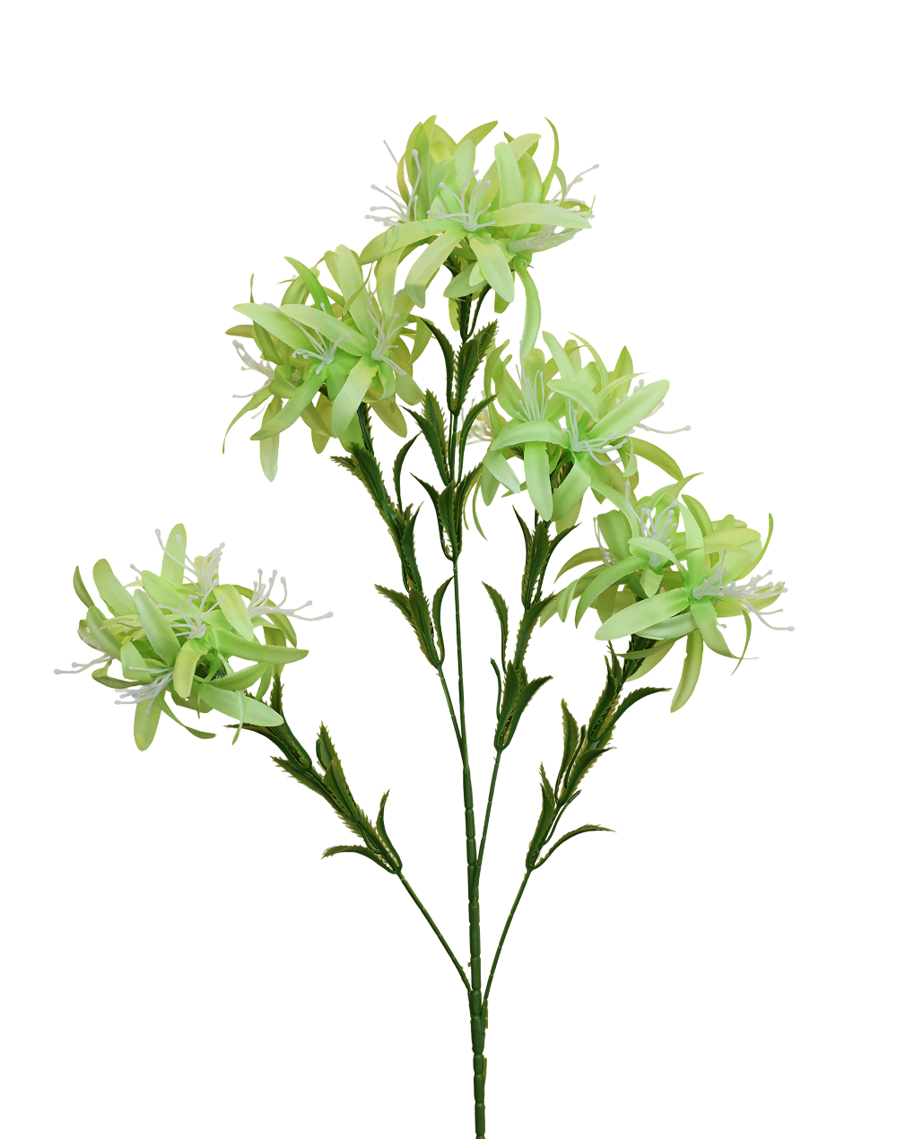 Silk Spider Chrysanthemum Spray | Available in 3 Colors