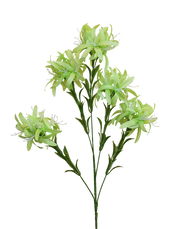 Silk Spider Chrysanthemum Spray | Available in 3 Colors