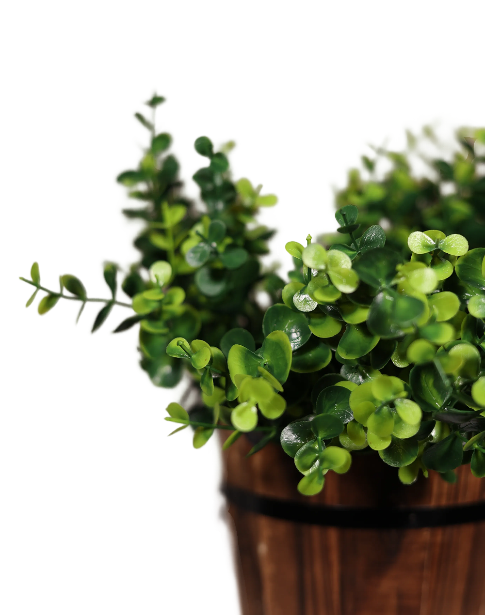 Boxwood Bush-12"