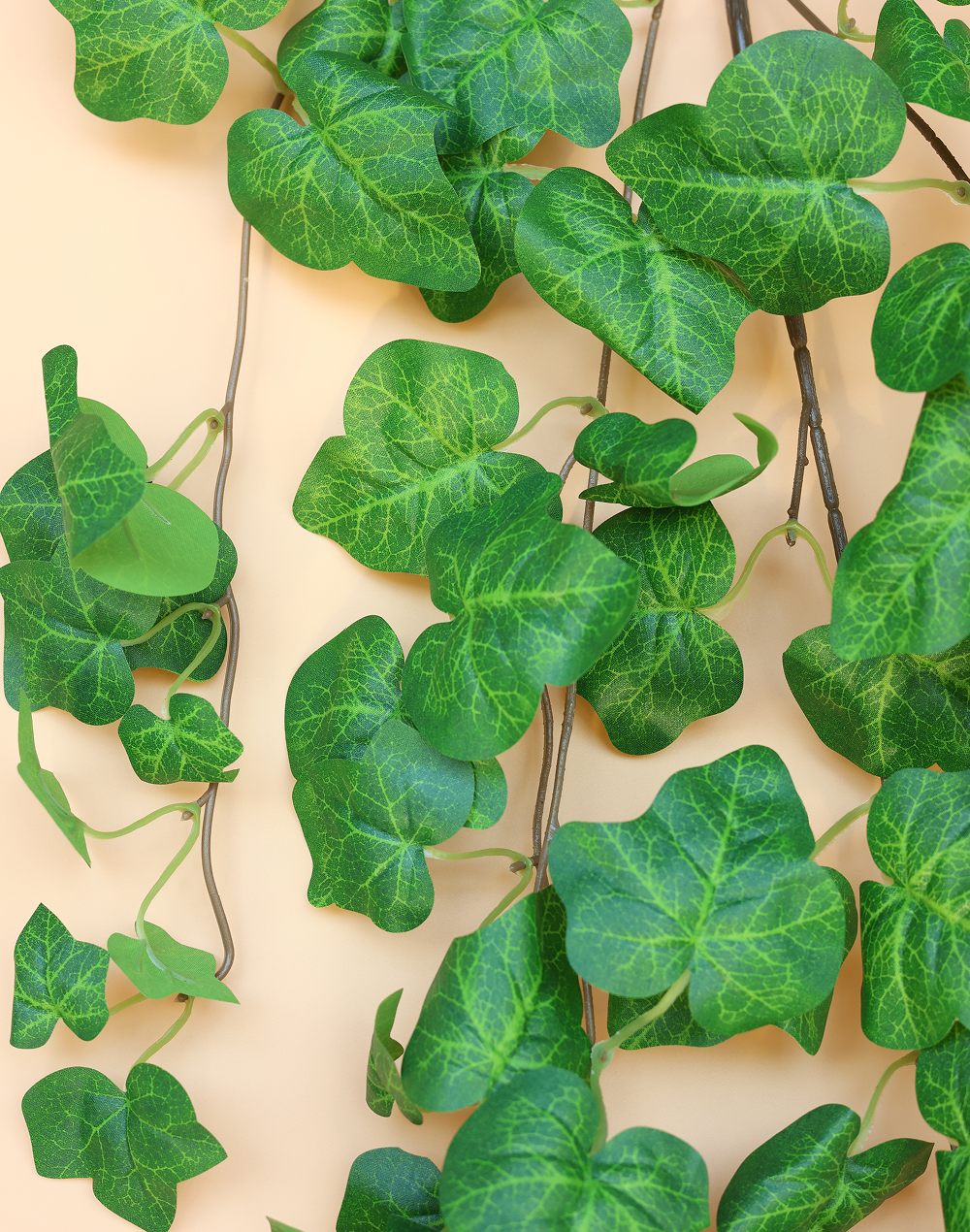 Green Ivy