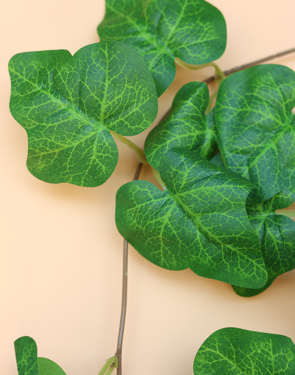 Green Ivy