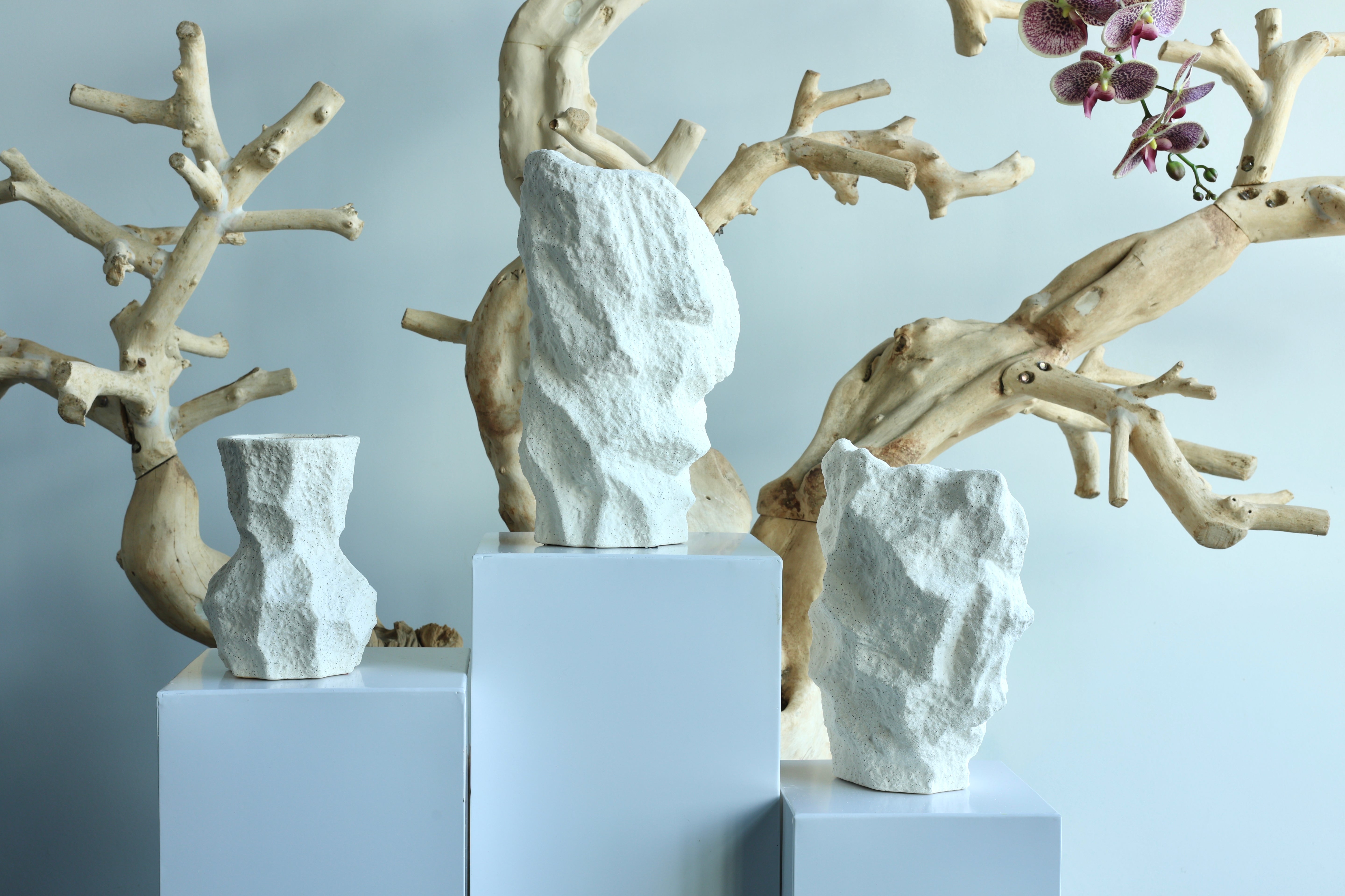 Iceberg Collection