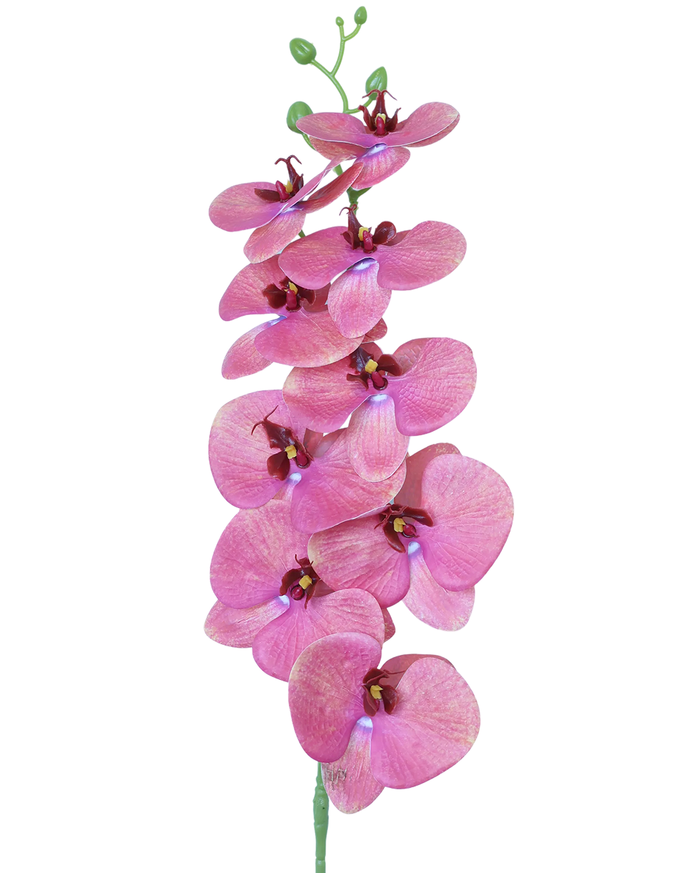 3D Orchid Stem | Available in 31 Colors