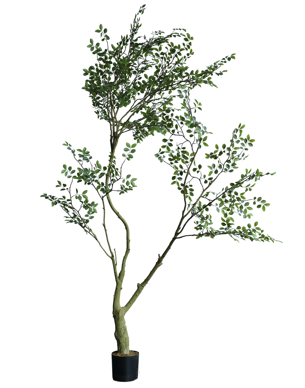 Trees | Available in 4 Styles
