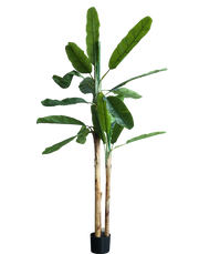 Banana Leaf Large Tree-8.5' Green