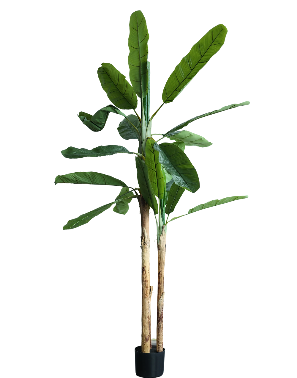 Banana Leaf Large Tree-8.5' Green