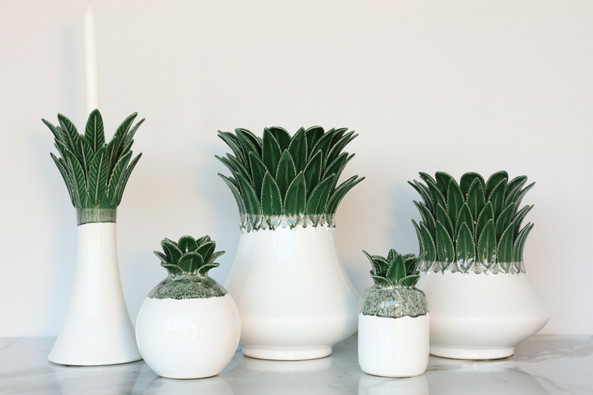Palma Collection