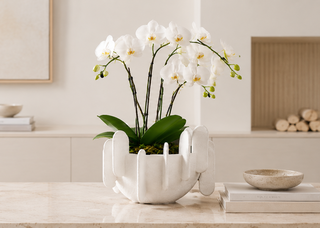 Planters