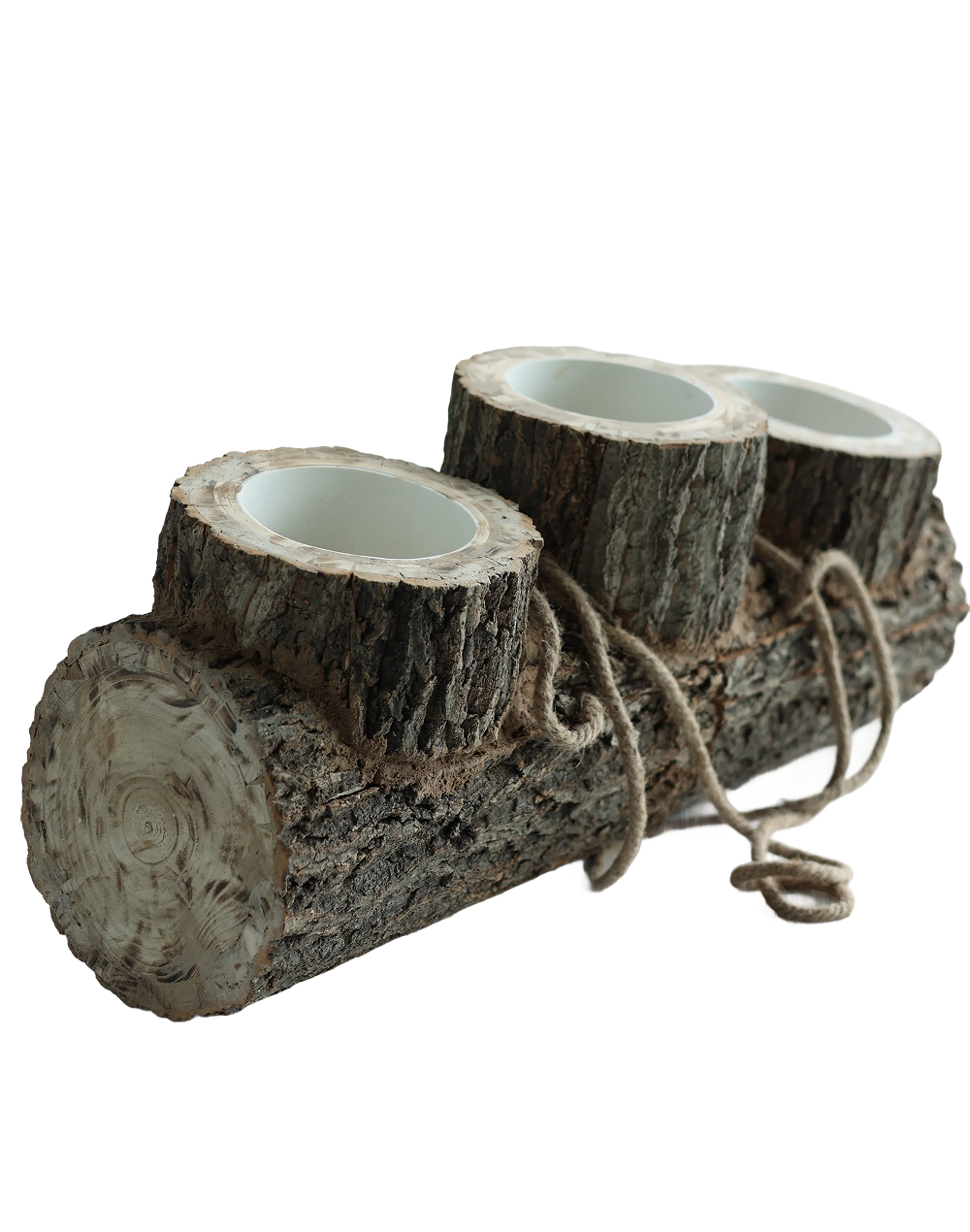 Woodland log vessel with rope