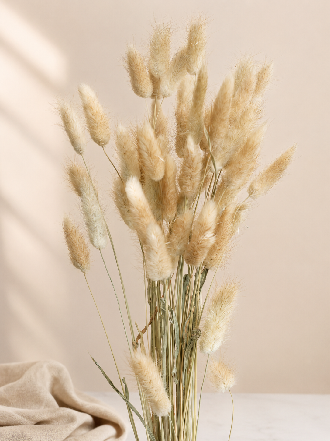 Preserved Natural Bunny Tail