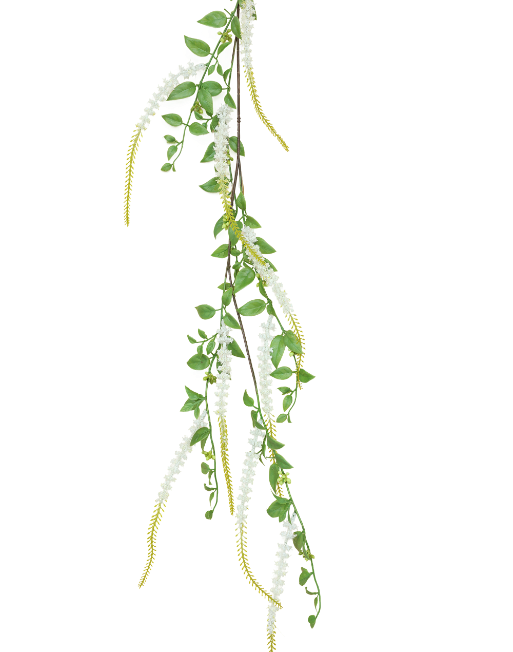 Weeping Buddleja | Available in 5 Colors